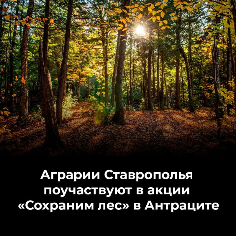 1 ������ �� ���������� �������������� ������������������ ����� �5 ����� �. ������ ��������� �������� ����� 120 �������� �������� ������ �����
