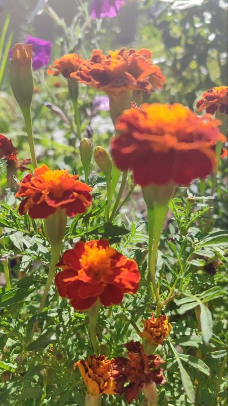 � ������ �����, ������ ����������� �������������� ������!