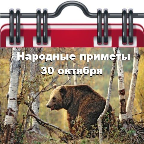 �������� ������� 30 �������