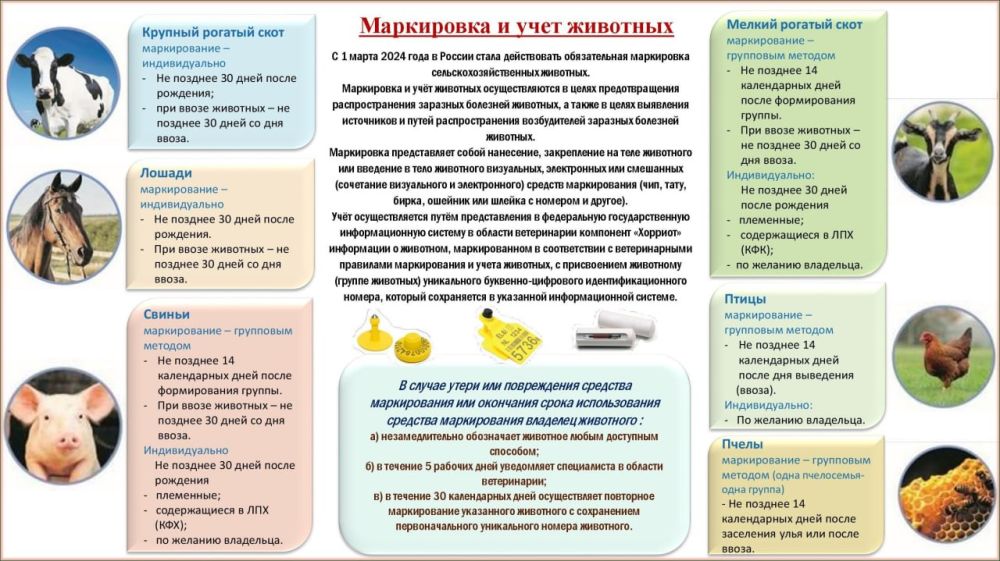 ��� ��� "������� �� ������ � ��������� �������� ����������� ������" ����������� �������