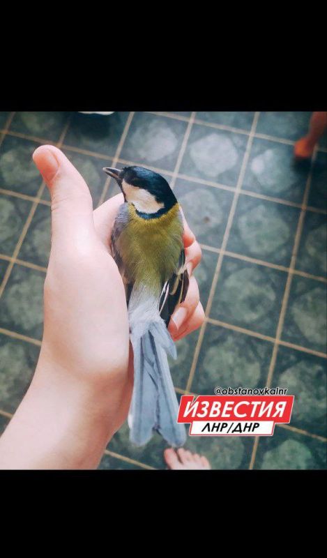 31 ������� �� ���������� ��������� ������� � ������������