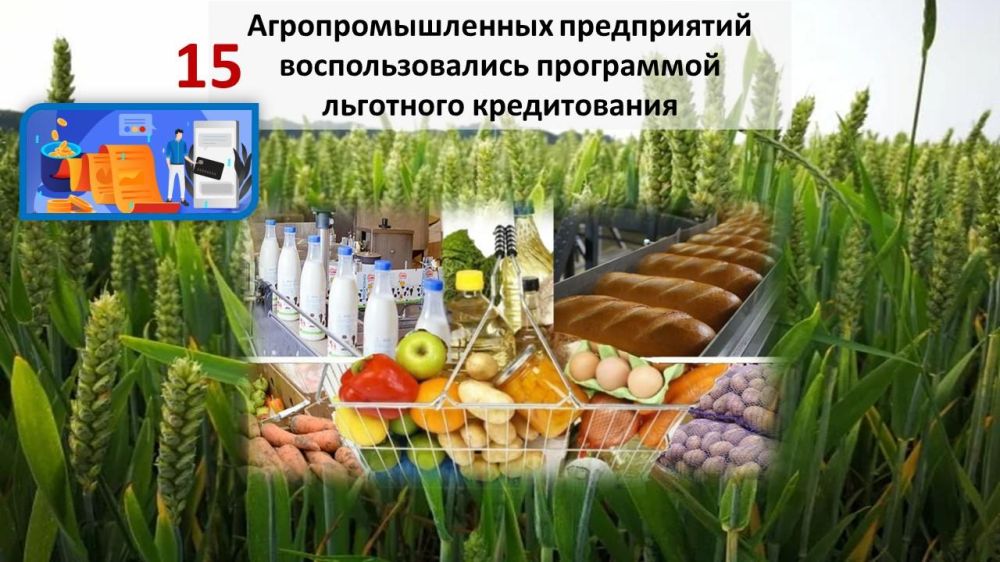 � ������ ��������� ��������� ������������ 15 ��������������� ���������� ������ �������� �� ����� ����� 800 ���