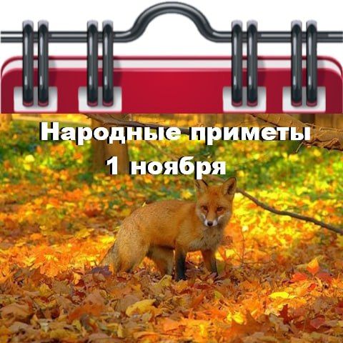 �������� ������� 1 ������