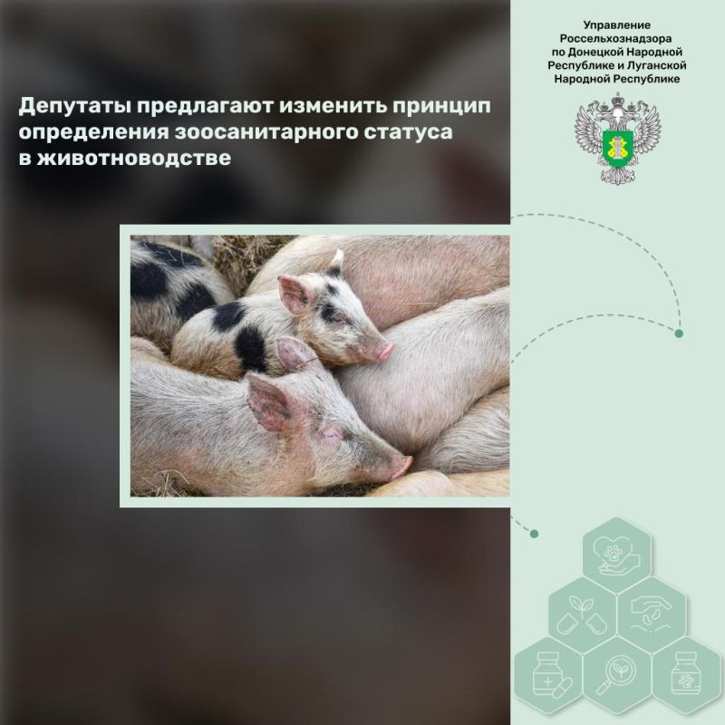 �������� ������� ����������� �������������� ������� � �������������� ���������� ��������
