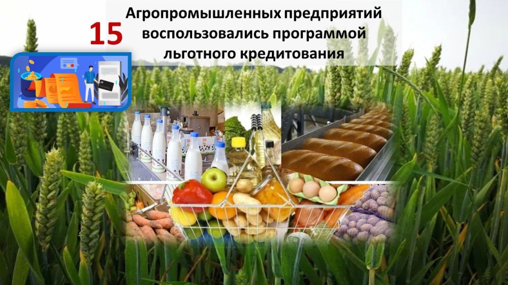� ������ ���� 15 ��������������������������� ��� �������� �������� ������� �� ����� ����� 800 ��� ������
