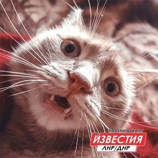��� ������ 1 ������ �� ���������� ��������� ������� � ������������