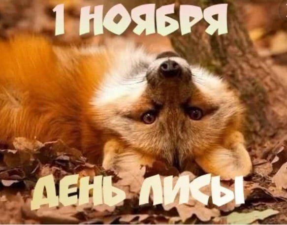 ���� 1 ������ � ������������� ��������� ��������� ��� ����� �����