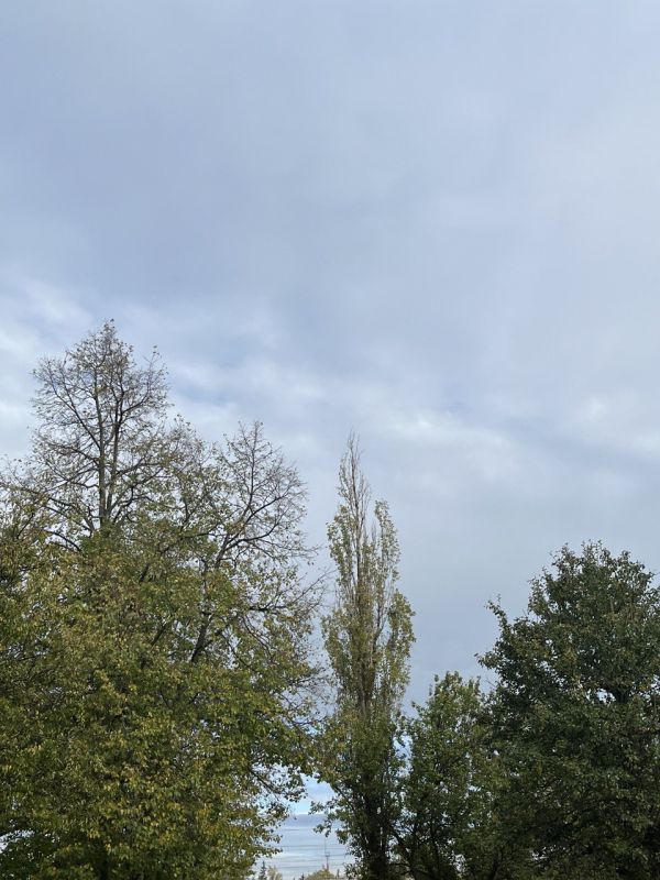 � ������ �����, ������ ����������� �������������� ������!