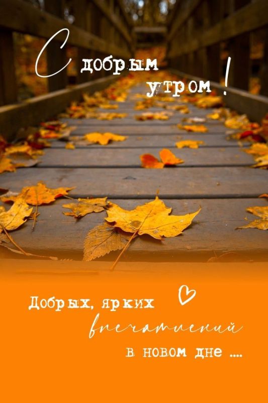 С ДОБРЫМ УТРОМ НОВОПСКОВСКИЙ ОКРУГ!