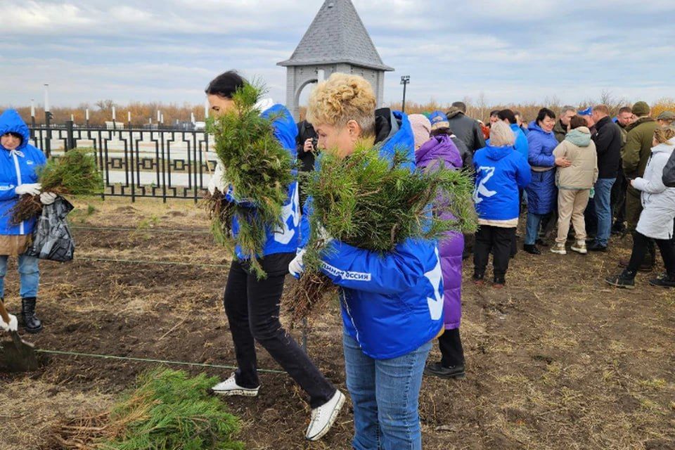 В память о героях: Луганчане высадили более 3 тысяч сосен на территории мемориала «Незаживающая рана Донбасса»