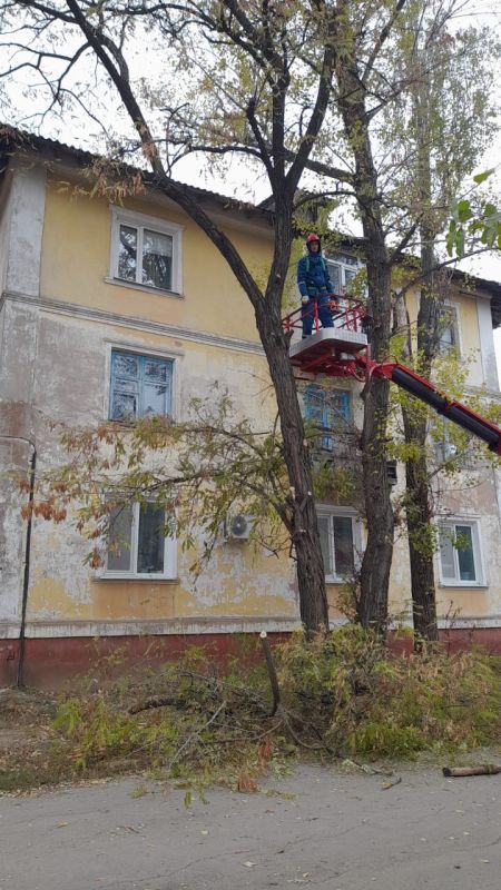 Сергей Козенко: Специалистами АО «СУЭНКО» шефа-региона Курганской области успешно проведена обрезка аварийного дерева по адресу проспект Молодой гвардии, 6. Это дерево оказывало разрушительное влияние на кровлю дома, создавая опасность для его жителей