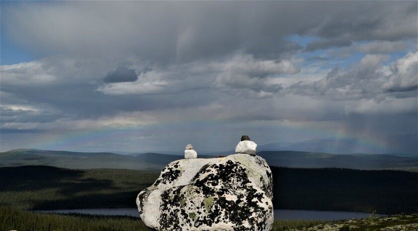 Школьники из ЛНР отправятся в Лапландский заповедник