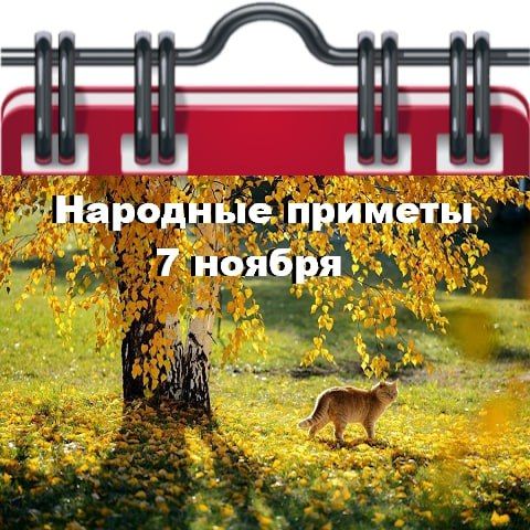 �������� ������� 7 ������