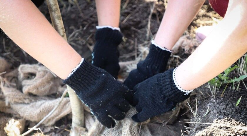 ��������� ����������� ������������ ������� �� ����� �������� ������������� ����