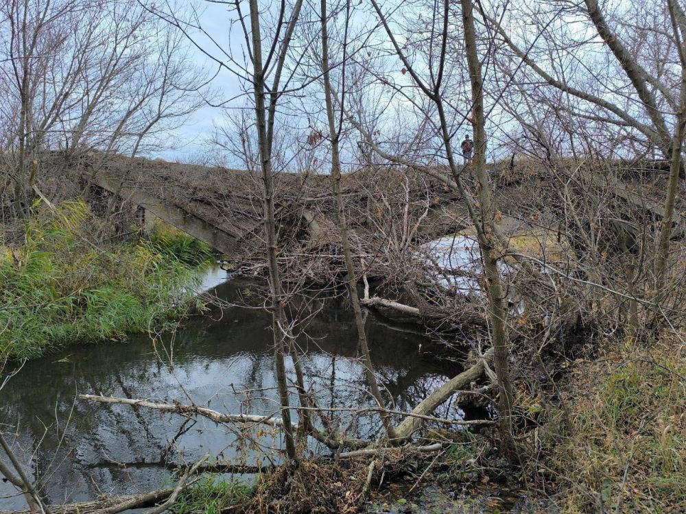 � ��������� ��� ���� ����������� ���������� ������� ���� ������� ������� � ������������� ������