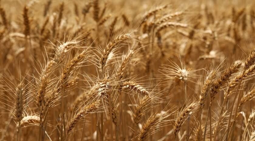 ������ ��������� ���������� ���� ������ � ���� ����, ����� ����� ������� 130 ��� ���� ��������