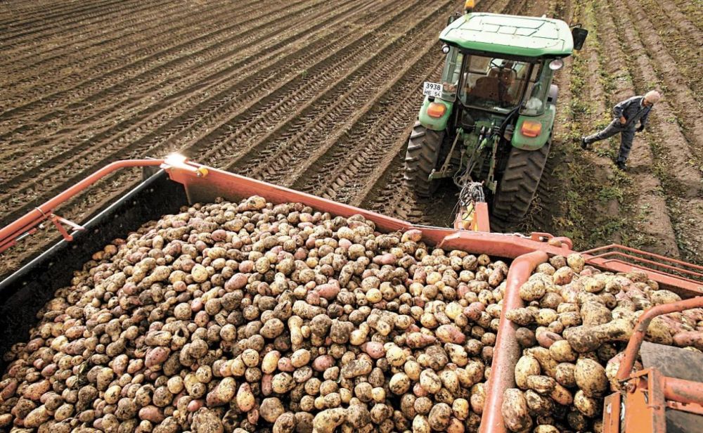 � ������ ��������� �������� ������� ���������� ������� ����� 3 ����� ���� ������