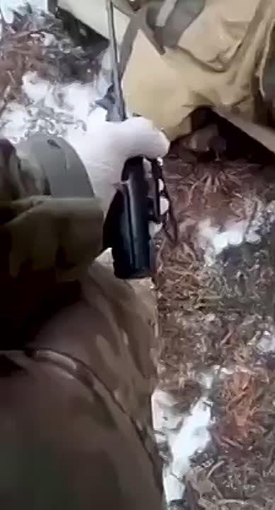 ������� �������: ������ ������ ������