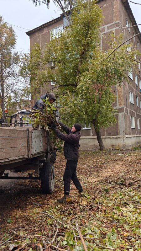 �������� ��������: ������������ ������ ���������� ������ �� ������ �������