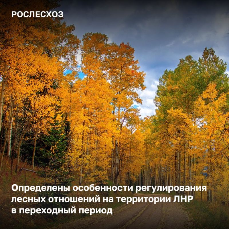 ������ ����� � ������������� �������� ������, ������, ��������������� � ������������� ����� � ��������� �������� ���������� �� ���� ���������� ������ - �� 2026 ����