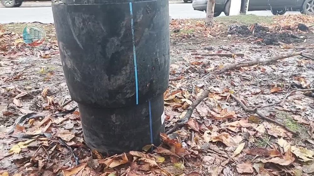 � �������� ������-��� ������ ������� ���������� ����������� ��� ��������� ������������� 30 ����� �������