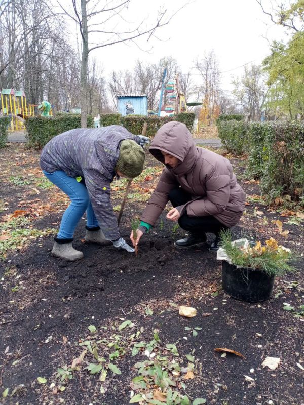 Сохраняем экологию вместе!