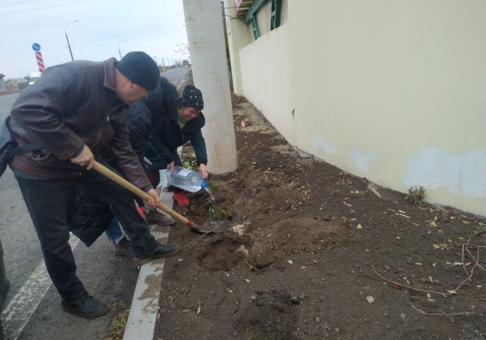 � ���������������� ������ ��������� �����