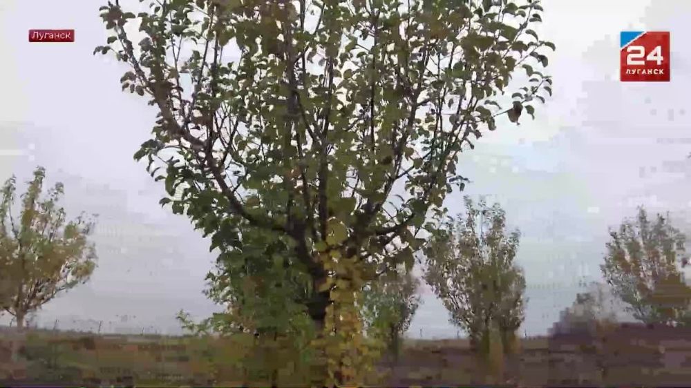 ������-����� �� ������� ��������� �������� � ������������ ������� �� ������� ������