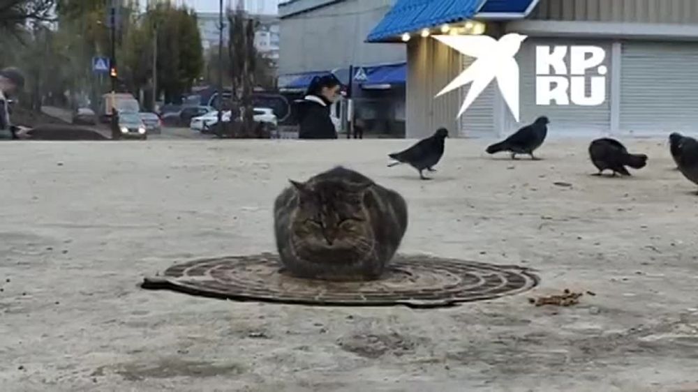 � �������� ����������. �� ���� �������� ��������