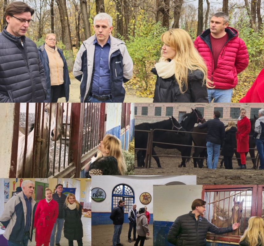 На Деркульском конном заводе планируется реализация инвестиционного проекта