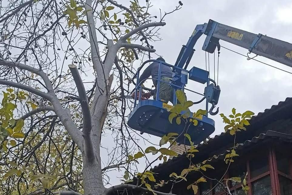 ��������-����������������� ������� ���� ���������� ������������� ����� ��������������� ����� ������������������