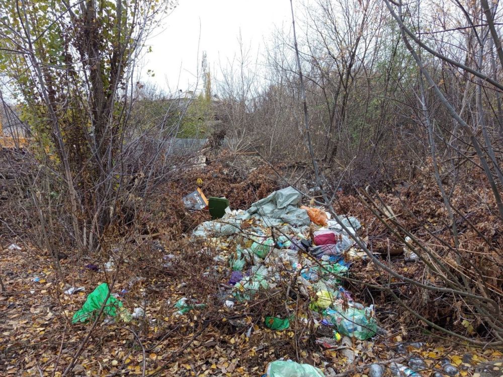 В Алмазной проведены работы по ликвидации стихийных свалок, которые образовываются рядом с площадками ТКО и в неустановленных местах