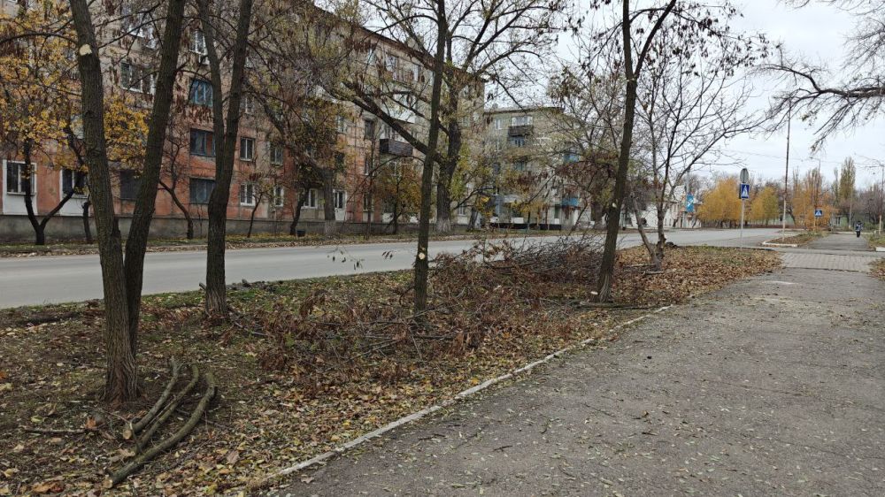 �������� ��������: ������������ ������ ���������� ������ �� ������ �������