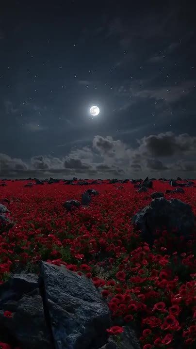 �� ����� ���� �������� ����������, ���� ��� ����� ������������ ����