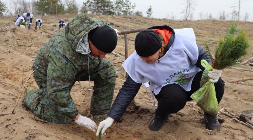 ��������� ����� ���� ������ �������� 12 ���. �������� ����� � �������������