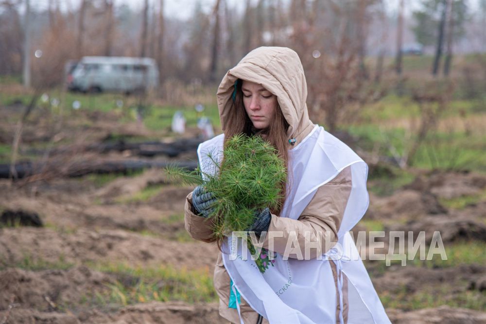 � ������� ��������� � ������ ������������� ����� �������� 25 ����� �������� �����