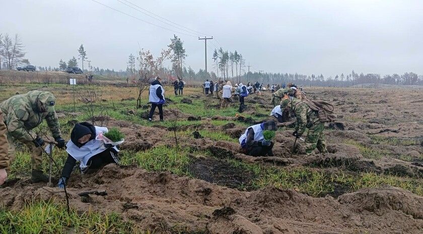 ��������� ����� ���� ������ �������� 23 ���. ����� � ��������-��������� �����������