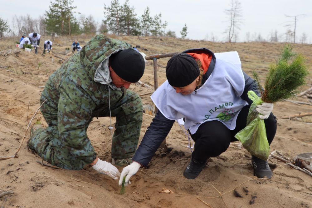 ������� ��������: � ������������� ������� ����� ���� ������