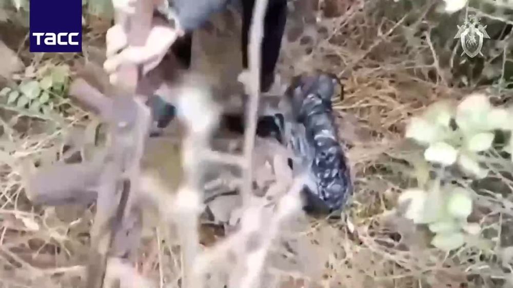 ��������� ������� ���������� � 14 ����� � 10 ������� ���������� �� ��������� �� �. �. ����� ������������ ������ ���, ��� ���� ������� �� 4 ���� 11 �������