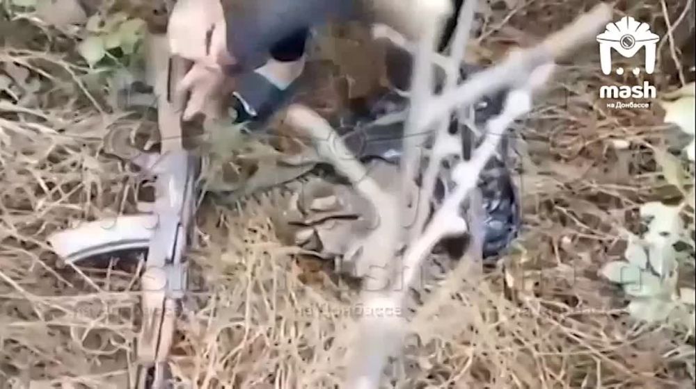 �������, ������� 20 ��� ��������� � ������ �.�