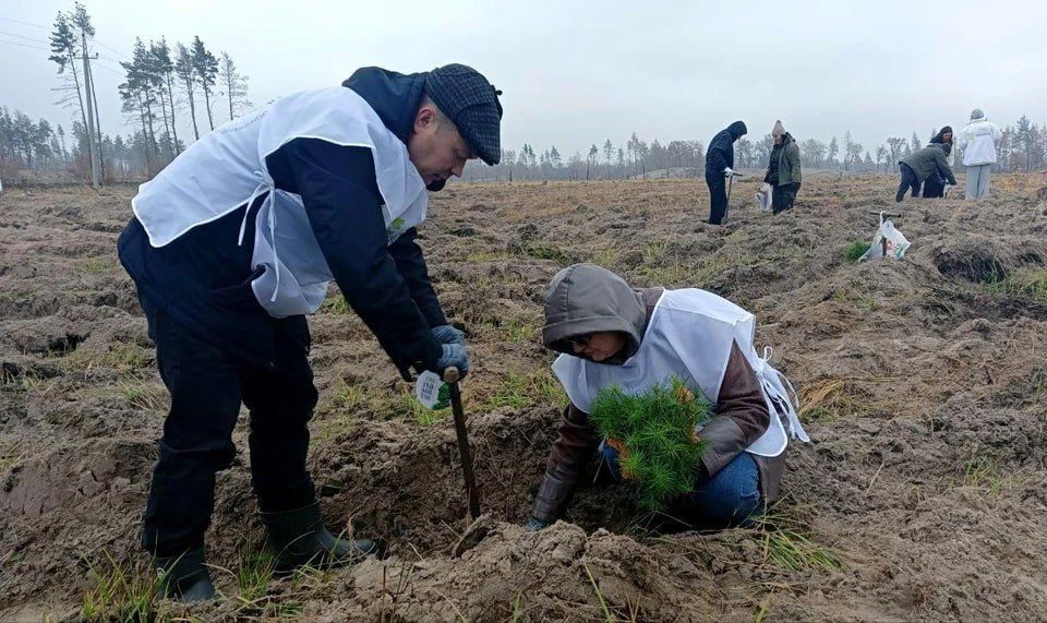 � ��������-��������� ������ �������� 23 ������ �����