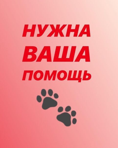 ������, �������� ������ "������ ���", ������� ���������� � 2014� � ��������� � ���� ���������� ���, ����� ����� ��������� ������, ����� ����� � ������ �� ����