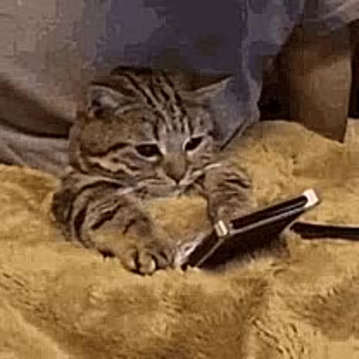 ����� ������ ��������!. � ������� ������� ������ ����� ������������� ����������� ���������-�������