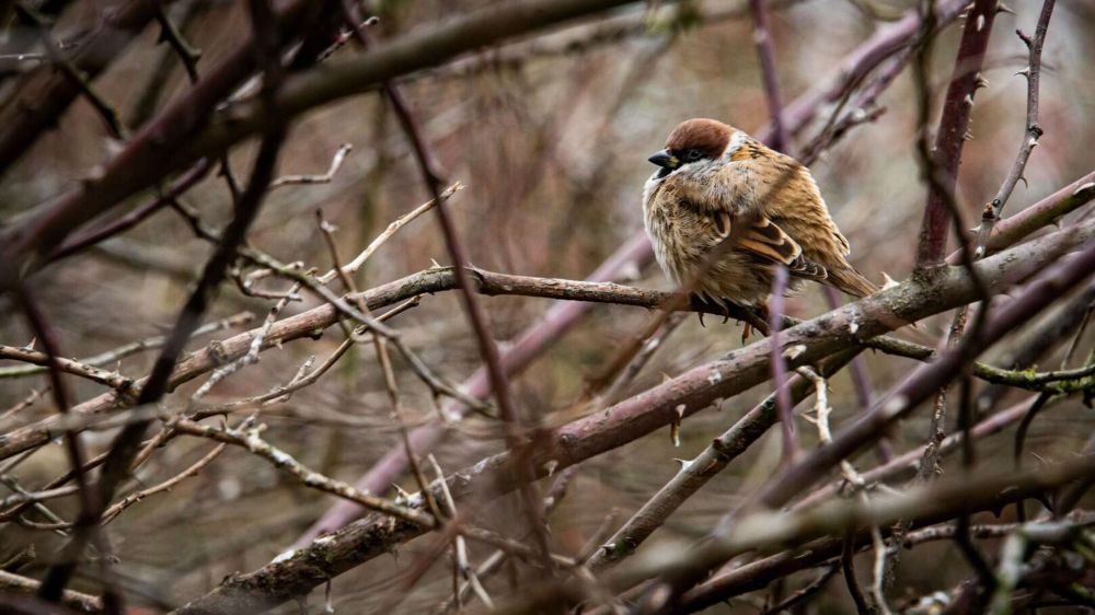 �� �� ������ ������ ������