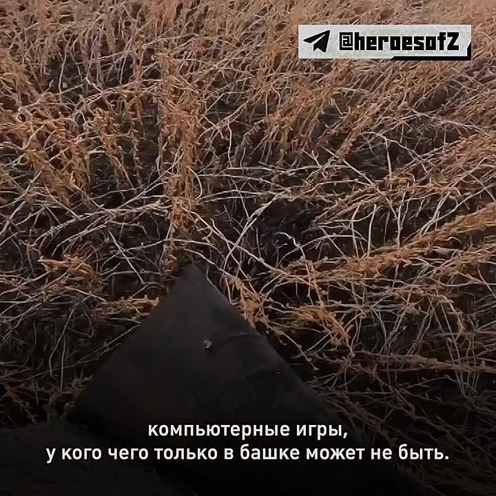 � ������������ ��������� ���� � �������� ��������� �������� ��������� ������