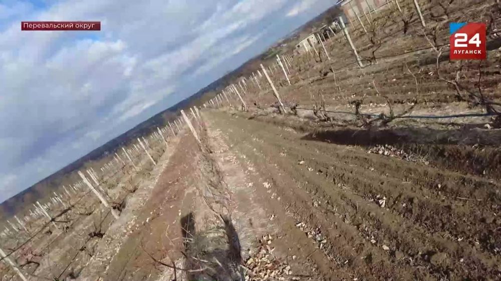 ������� ���� ����������� ���������� � ���� ������������ ������� ��������� ��������� �������� ����������� ���� �������� ������ �������