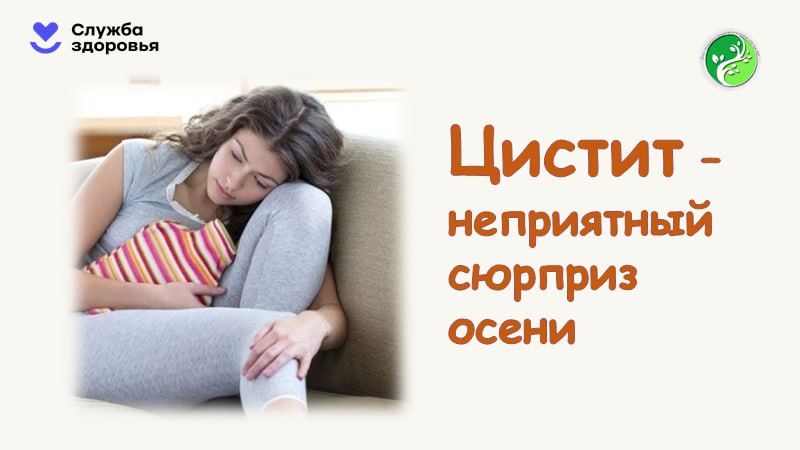 ���� �� ���������� ��������� ����� � ������, �.�
