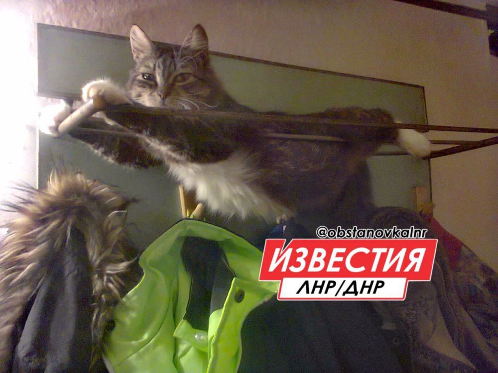 20 ������ �� ���������� ��������� ���������� ����������