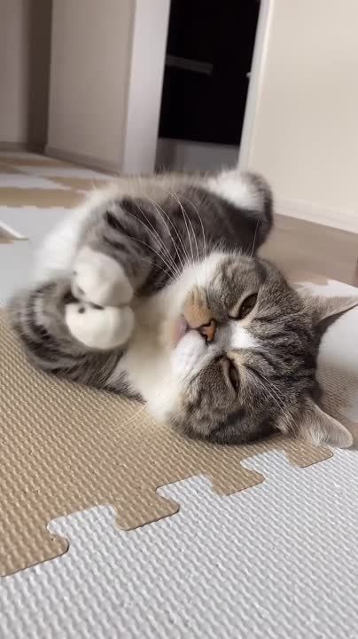 ����� ������� �� � ���, ����� ����� ����