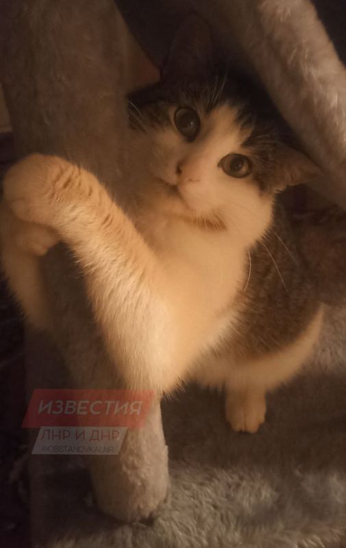 21 ������ �� ���������� ��� ����� ������� � ������������